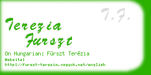 terezia furszt business card
